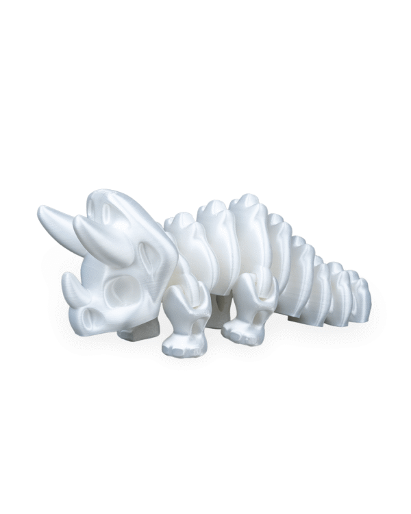Fóssil de Triceratops Flexi - Image 5
