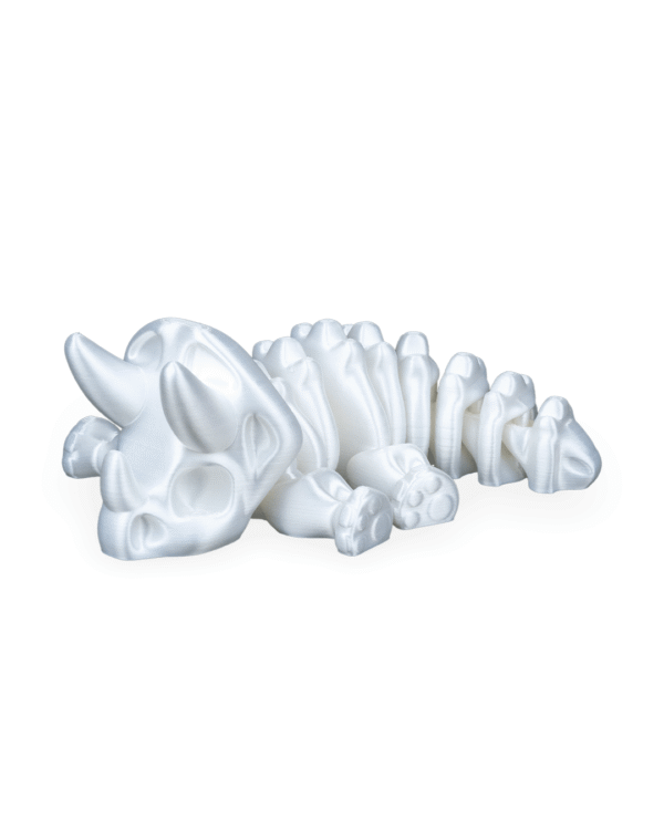 Fóssil de Triceratops Flexi - Image 6