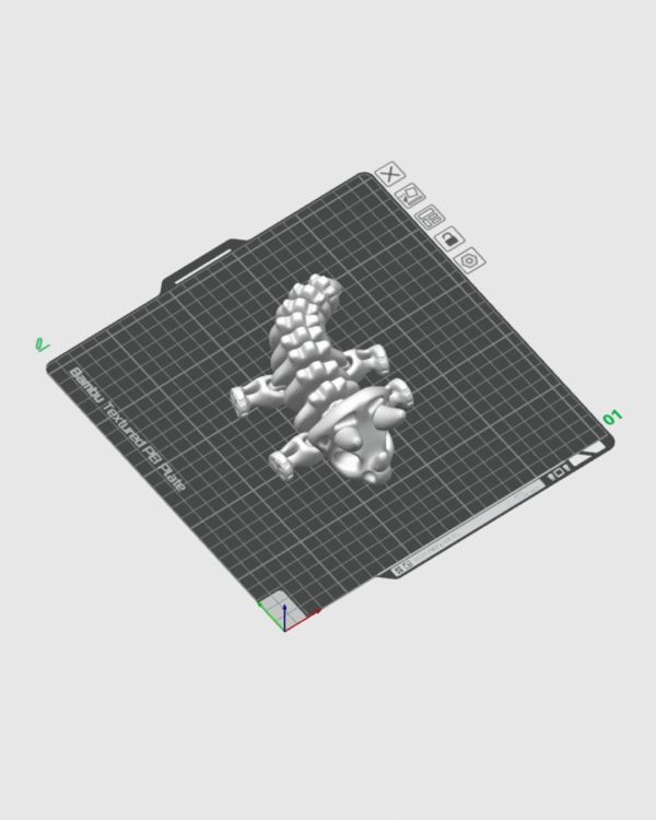 Fóssil de Triceratops Flexi - Image 3