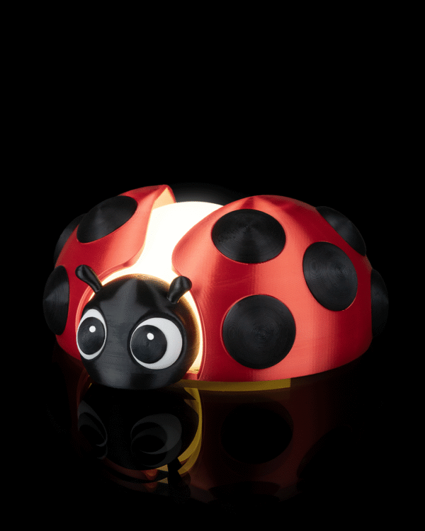 Luminária Joaninha - Image 5