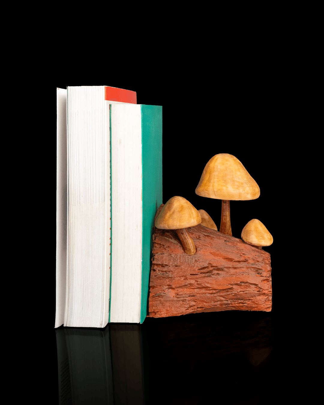 Cogumelos para livros - Image 7