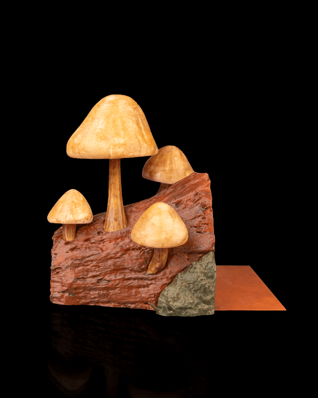 Cogumelos para livros - Image 6