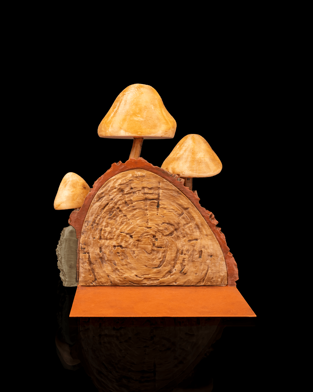 Cogumelos para livros - Image 5