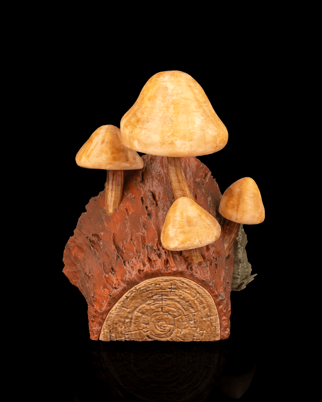 Cogumelos para livros - Image 4