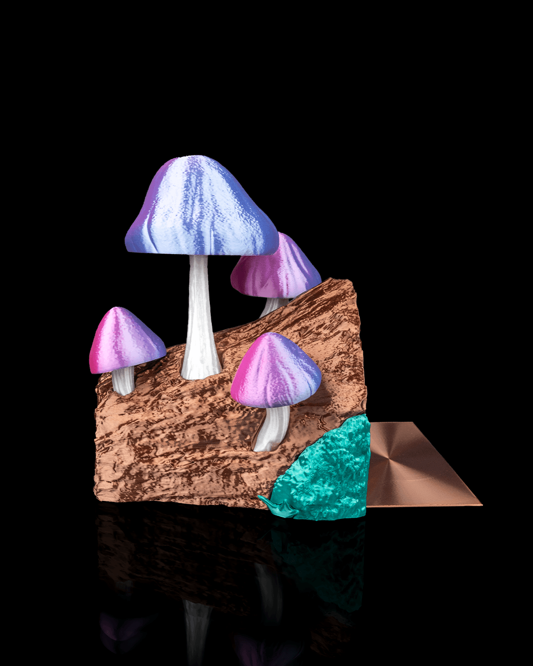 Cogumelos para livros - Image 3