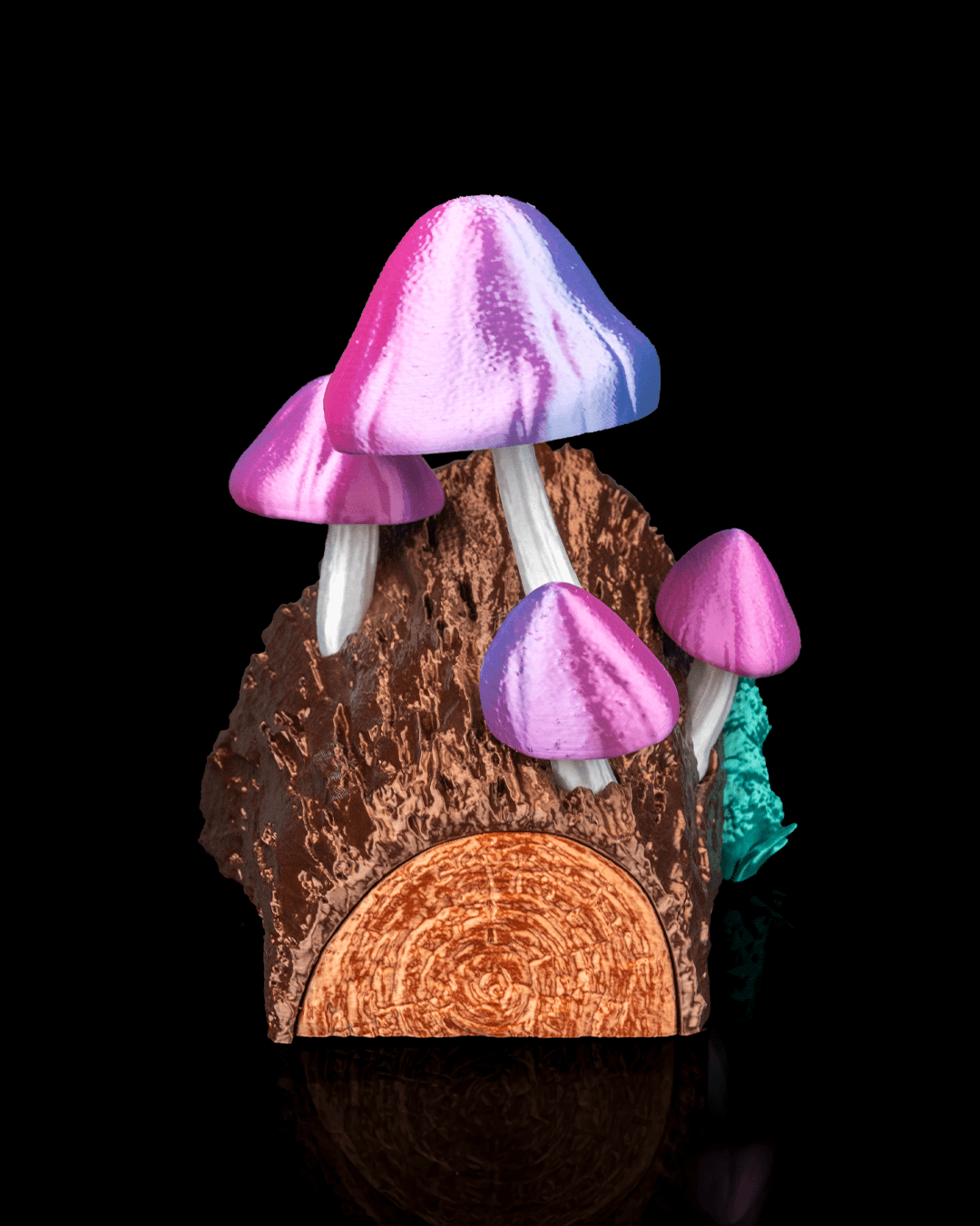 Cogumelos para livros - Image 2