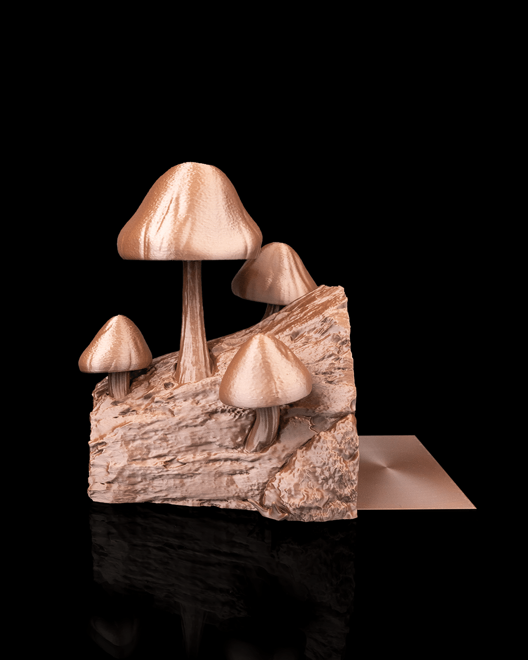 Cogumelos para livros - Image 9