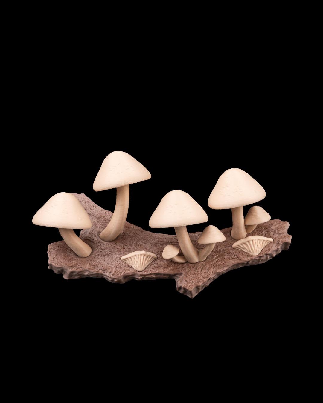 imã de Geladeira Cogumelos - Imagem 5