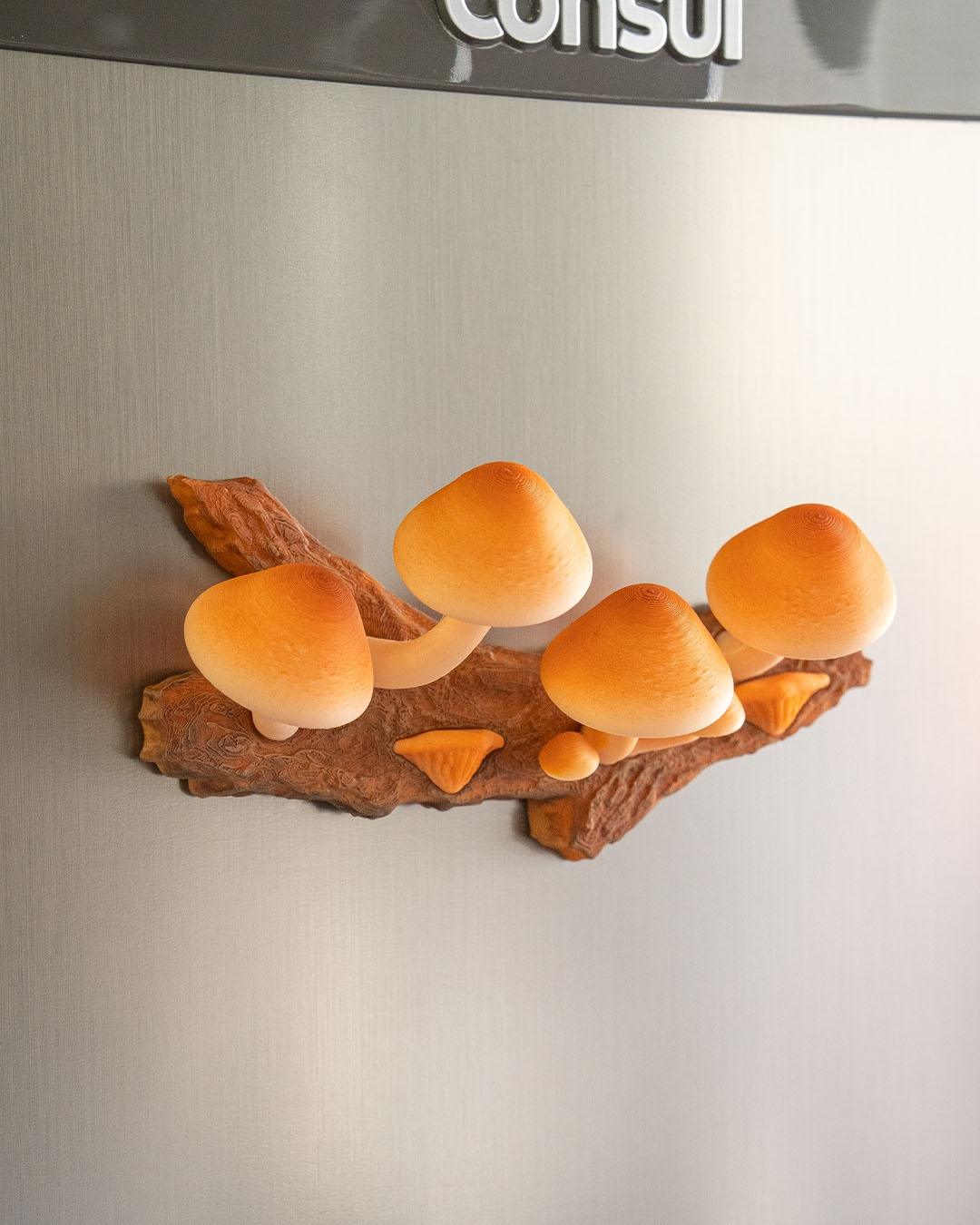 imã de Geladeira Cogumelos - Imagem 6