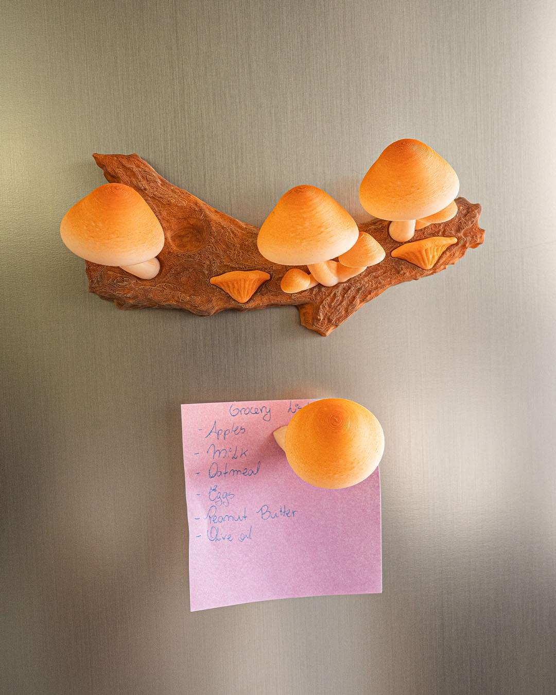 imã de Geladeira Cogumelos - Imagem 7