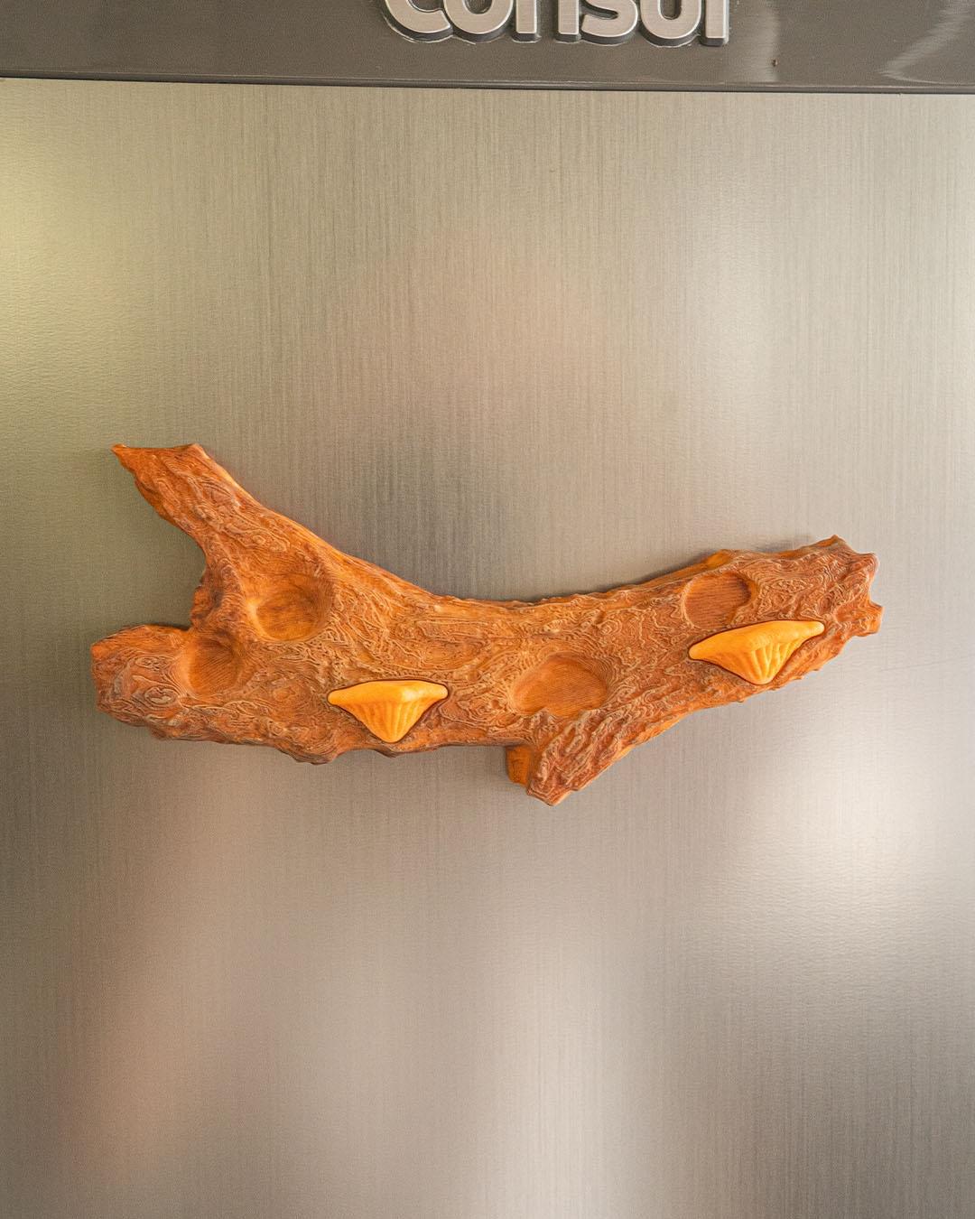 imã de Geladeira Cogumelos - Imagem 8