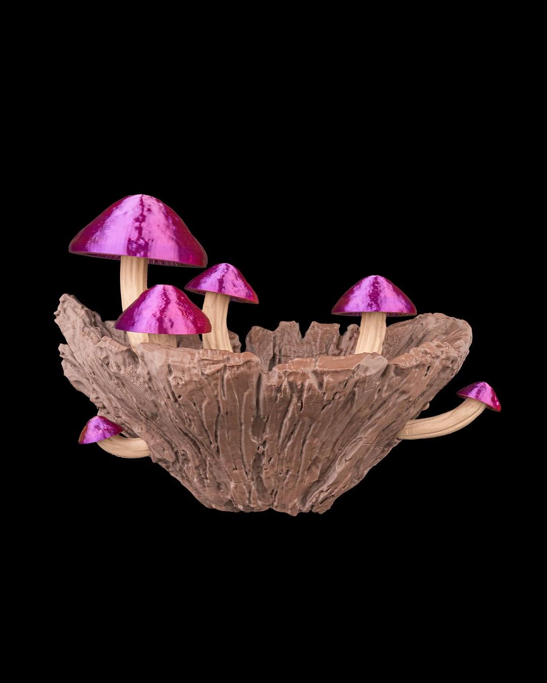 Vaso de Parede Cogumelo - Image 7