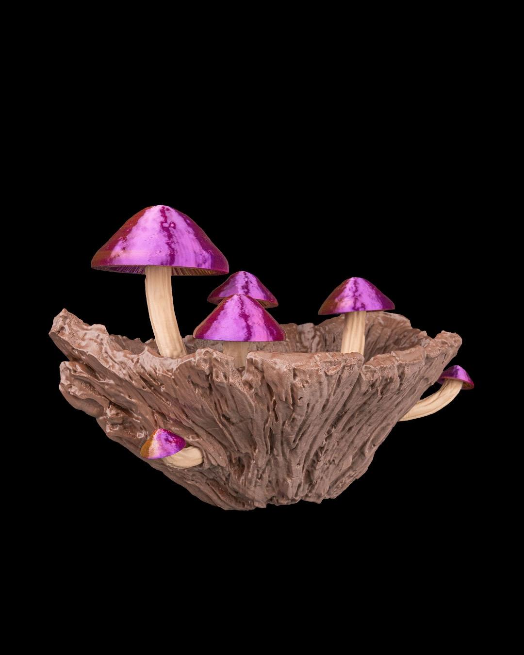 Vaso de Parede Cogumelo - Image 6