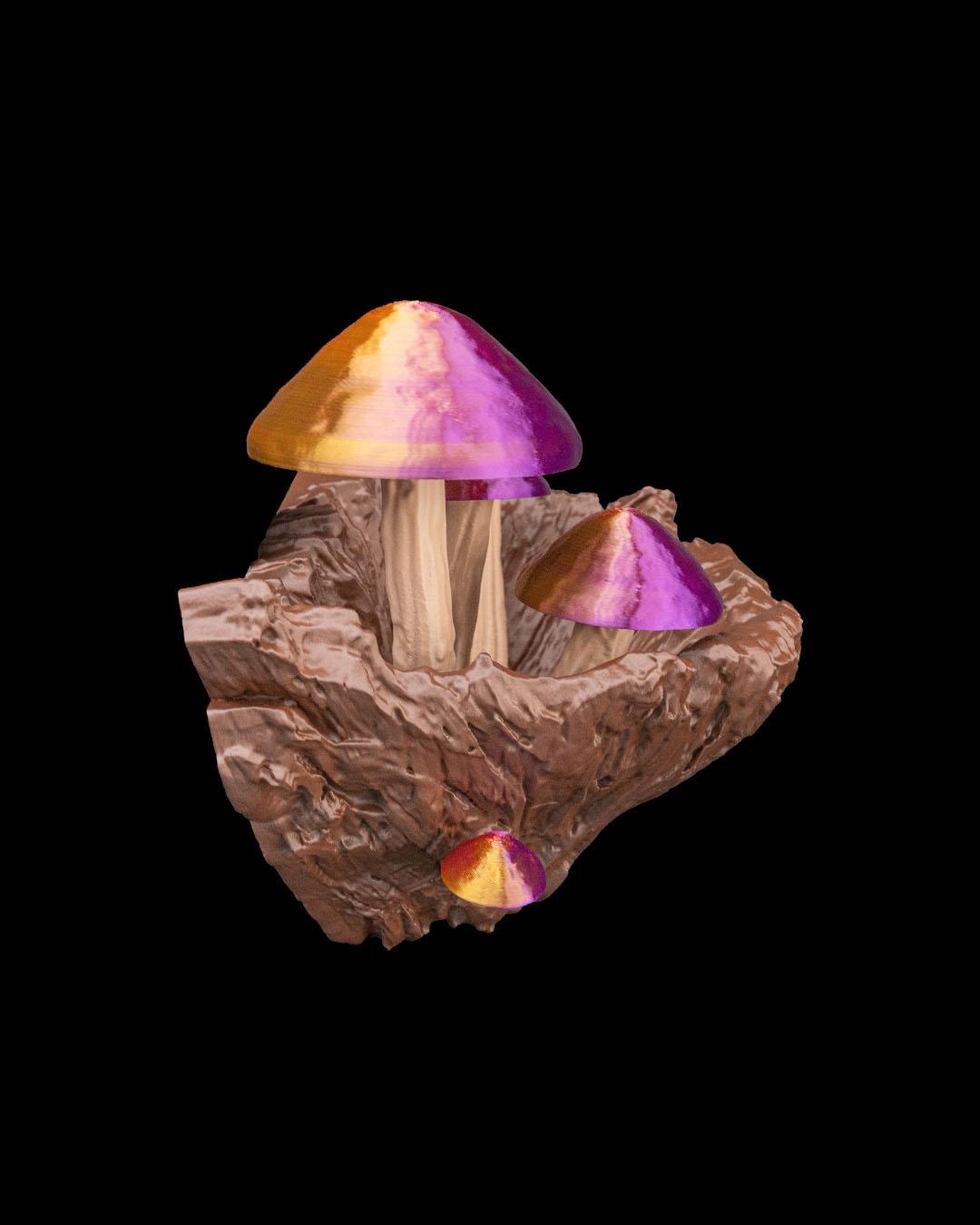 Vaso de Parede Cogumelo - Image 5