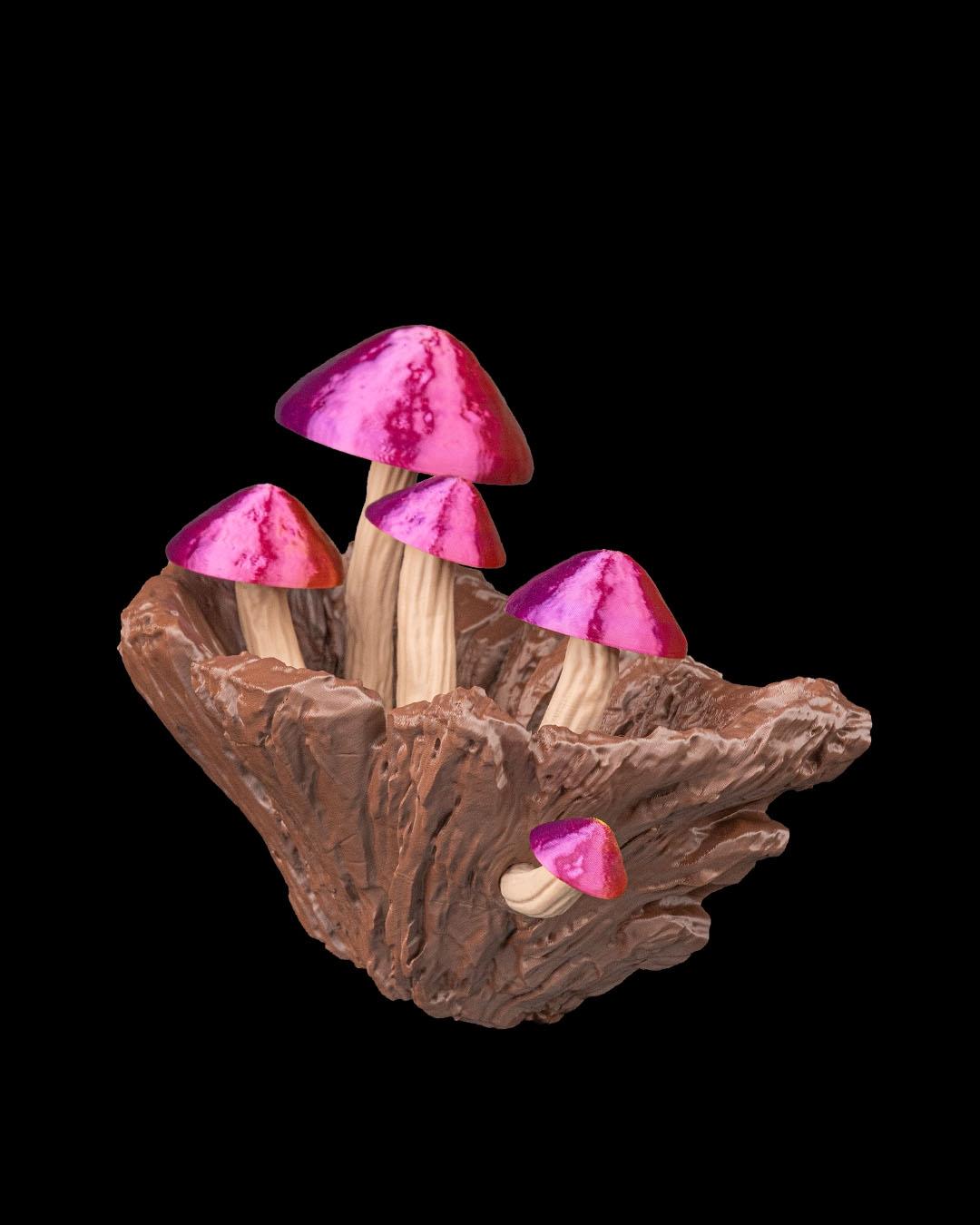 Vaso de Parede Cogumelo - Image 4