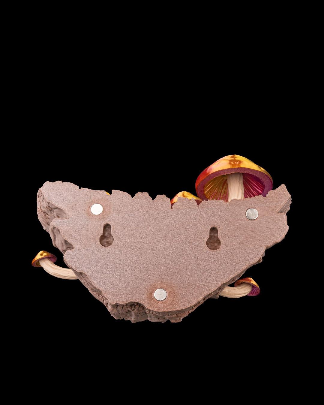 Vaso de Parede Cogumelo - Image 3