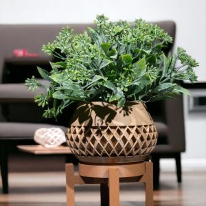 1_Photoroom_2_3e5214e2ae 1_Photoroom_2_3e5214e2ae