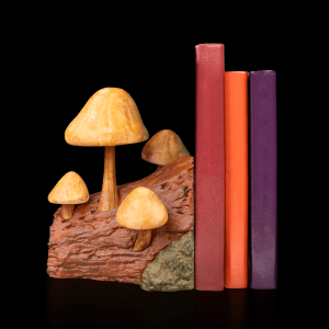 Book_Shrooms_Bookend_1_01aecd3d9b