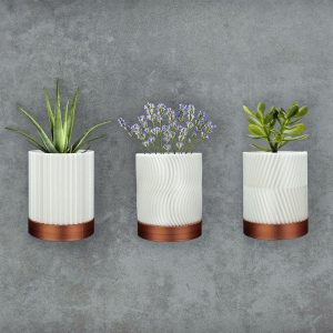 CYLINDRIX_24_0f24c4f547 CYLINDRIX_24_0f24c4f547