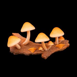 Cap_tivating_Magnets1_25ced09ea9